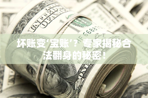 北京坏账变‘宝账’？专家揭秘合法翻身的秘密！