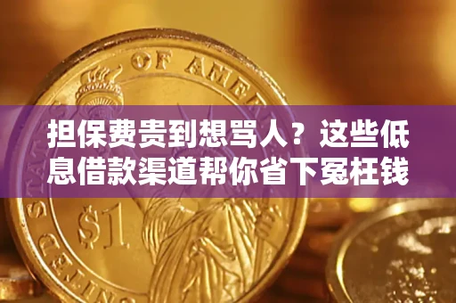 北京担保费贵到想骂人？这些低息借款渠道帮你省下冤枉钱