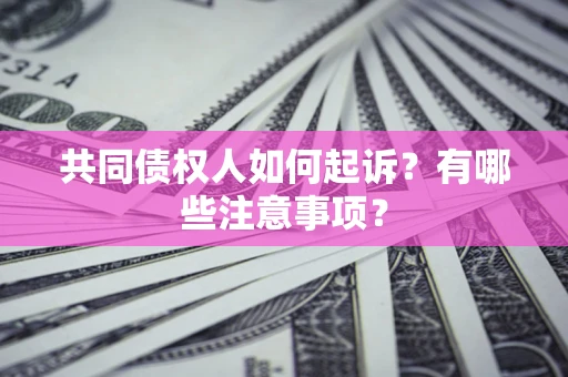 北京共同债权人如何起诉？有哪些注意事项？